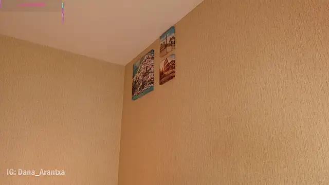 DanArant online show from November 2025 10:01:02 PM