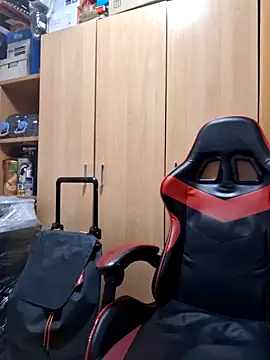 Javier bear online show from October 2025 01:33:02 PM