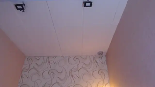 Snapshot of LiaHarryis chatting on March 2025 01:07:02 PM LiaHarryis online show from March 2025 01:07:02 PM