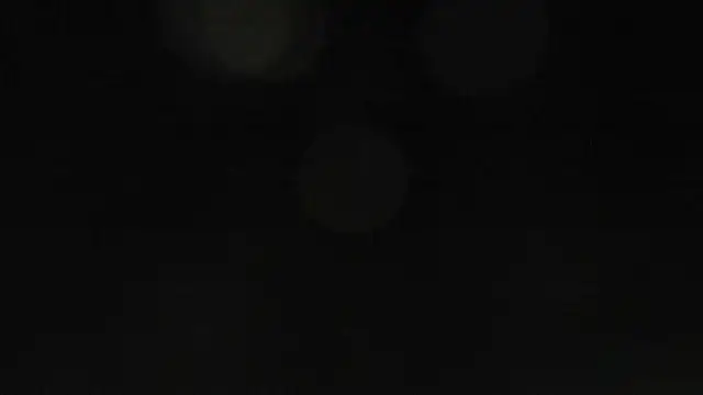 Bitch Coin online show from November 2025 10:43:02 AM