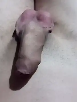 El22 1431 online show from January 2025 04:39:01 AM