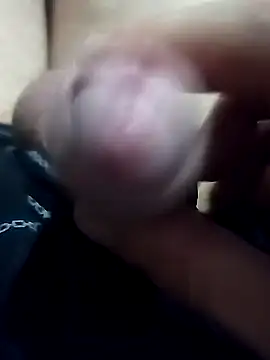 El22 1431 online show from January 2025 02:47:01 AM