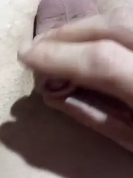 El22 1431 online show from November 2025 01:59:02 AM