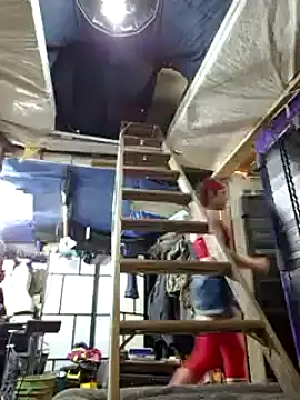 cdressupdiva online show from February 2025 11:40:02 AM