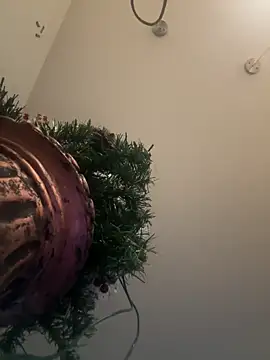 Snapshot of Sexy_Little_SlutAriel chatting on December 2024 08:54:02 PM Sexy Little SlutAriel online show from December 2024 08:54:02 PM