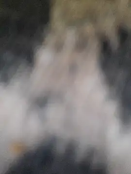 Snapshot of marcialoira chatting on February 2025 10:12:01 PM marcialoira online show from February 2025 10:12:01 PM