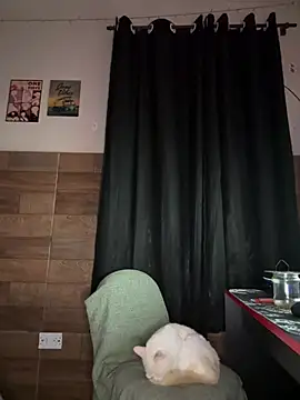 izumikarol online show from March 2026 03:12:02 AM