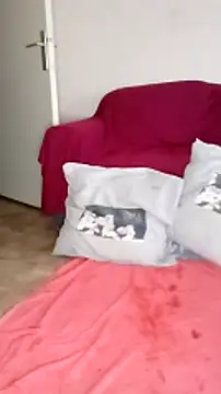 cricrimodele online show from December 2024 09:13:02 AM