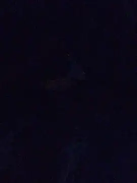 MrDickUdown24 7 online show from February 2025 06:39:01 AM