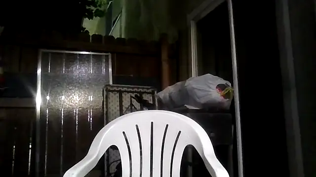 MrDickUdown24 7 online show from February 2026 04:05:02 AM