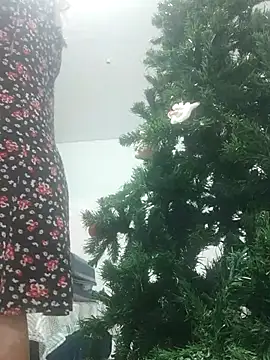 VitaIity online show from November 2025 10:32:02 PM