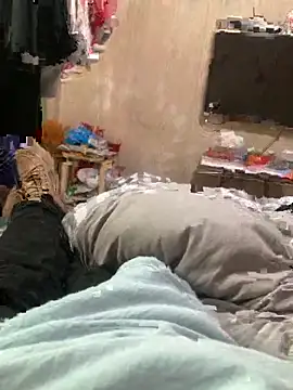 Beijing2000 online show from January 2025 06:03:01 AM