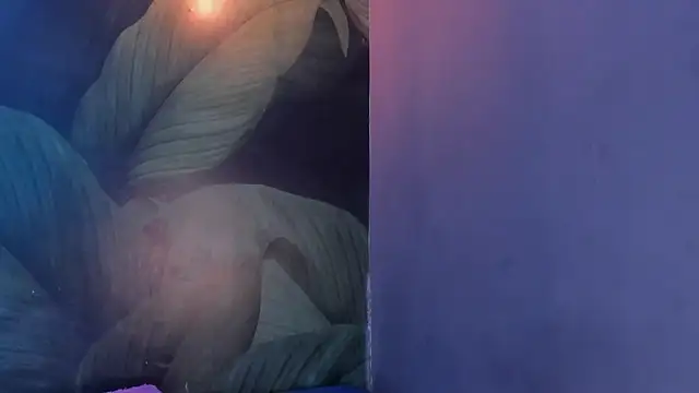 sweett dirty online show from February 2025 03:28:02 PM