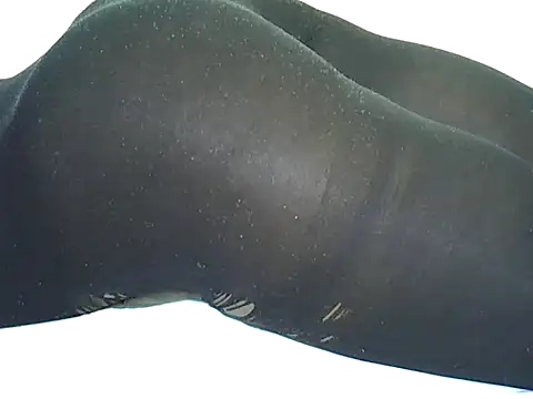 candililie online show from September 2025 06:35:02 AM