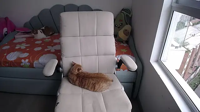 Snapshot of _arianalzate_ chatting on January 2025 08:04:01 PM arianalzate online show from January 2025 08:04:01 PM