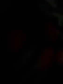 THE-LOVE-BOY online show from April 2026 04:26:01 AM