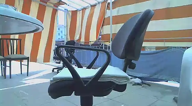 zormen355 online show from March 2025 09:27:01 AM