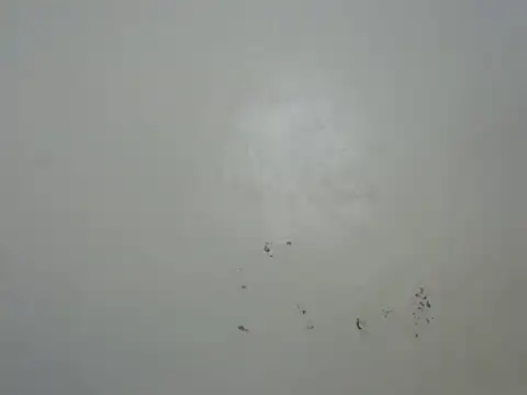 Rasta tattooed online show from February 2026 10:46:02 PM