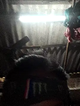 Snapshot of HotSexyBoudi chatting on January 2025 08:57:02 AM HotSexyBoudi online show from January 2025 08:57:02 AM