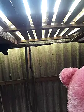 Snapshot of HotSexyBoudi chatting on September 2025 08:51:02 AM HotSexyBoudi online show from September 2025 08:51:02 AM