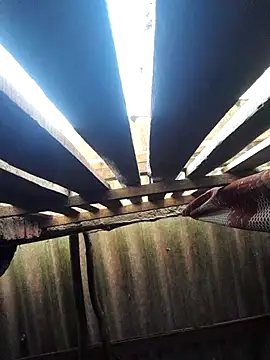 Snapshot of HotSexyBoudi chatting on October 2025 08:48:02 AM HotSexyBoudi online show from October 2025 08:48:02 AM