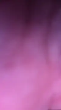 Women-pleasures online show from December 2024 01:17:02 PM