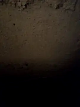 Snapshot of camila_picante chatting on March 2026 03:56:01 PM camila picante online show from March 2026 03:56:01 PM