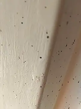 Snapshot of camila_picante chatting on April 2026 02:47:02 PM camila picante online show from April 2026 02:47:02 PM