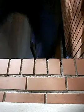 Petrossa online show from November 2025 12:21:01 AM