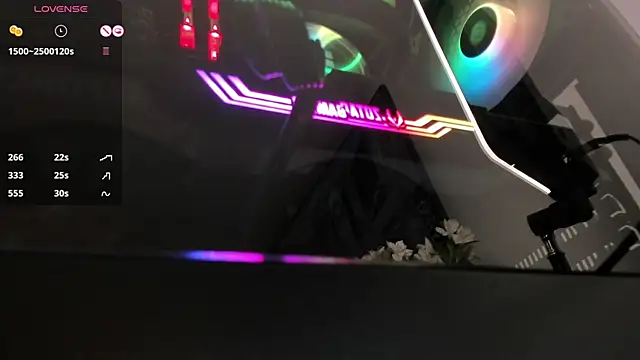 ariana fitl  online show from December 2024 08:11:02 AM