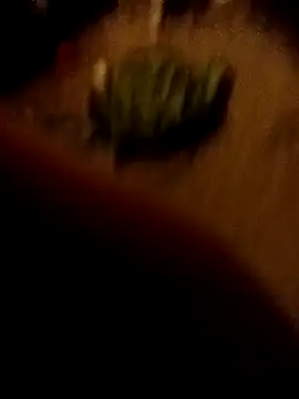 ySqmbVanbe online show from February 2026 01:35:02 AM