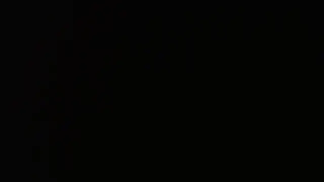 gauchinhaG online show from March 2026 04:58:01 PM