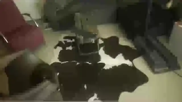 oopsxx online show from December 2025 01:57:01 AM