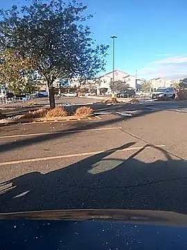 FloppyPickle4u online show from September 2025 03:11:01 PM