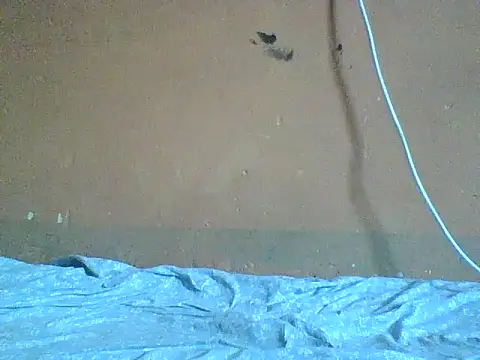 Naivegirrl online show from February 2026 09:45:02 AM