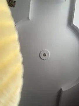 Snapshot of emiss_ chatting on October 2025 02:14:02 PM emiss online show from October 2025 02:14:02 PM