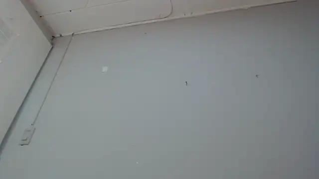 Snapshot of Emma-Wilson chatting on March 2025 02:19:01 PM Emma-Wilson online show from March 2025 02:19:01 PM