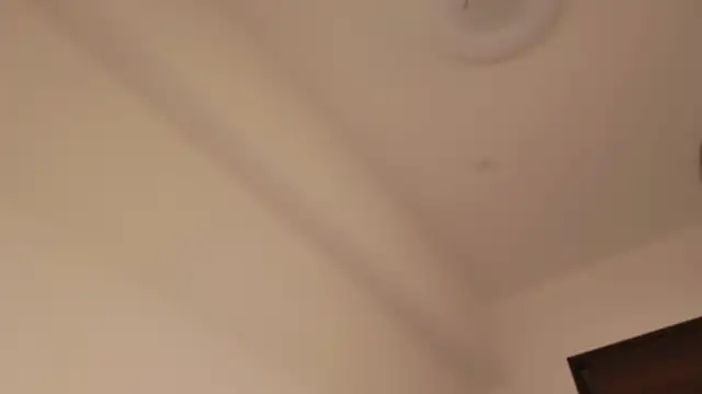 miRei- online show from April 2026 11:08:01 AM