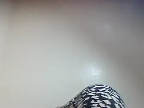 Creamy candy17 online show from October 2025 01:41:02 PM