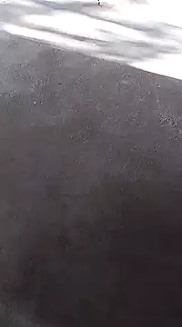 Sexygarl1024 online show from January 2025 02:38:02 AM