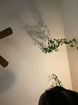 magicalc00ch online show from January 2025 12:48:02 AM