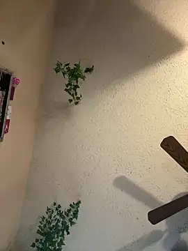 magicalc00ch online show from March 2025 09:37:01 PM