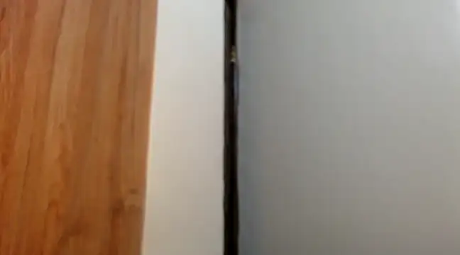 Snapshot of wetpussy_ebony chatting on February 2025 06:19:01 AM wetpussy ebony online show from February 2025 06:19:01 AM