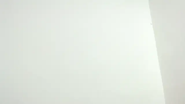 isaaclatino online show from November 2025 04:03:02 AM