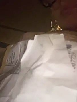 casalinga88 online show from November 2025 07:15:01 PM