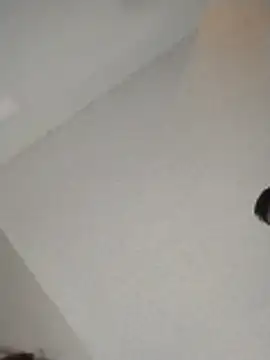 xWhoreAbleX Pika online show from November 2025 03:16:01 PM