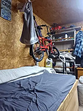 daiwantu online show from March 2026 09:19:01 PM