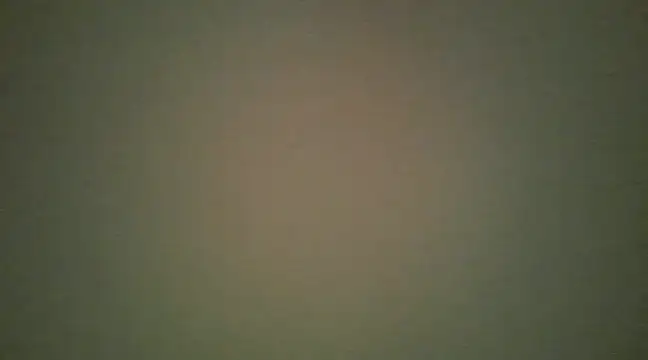 lovense test04 online show from March 2025 08:37:02 AM