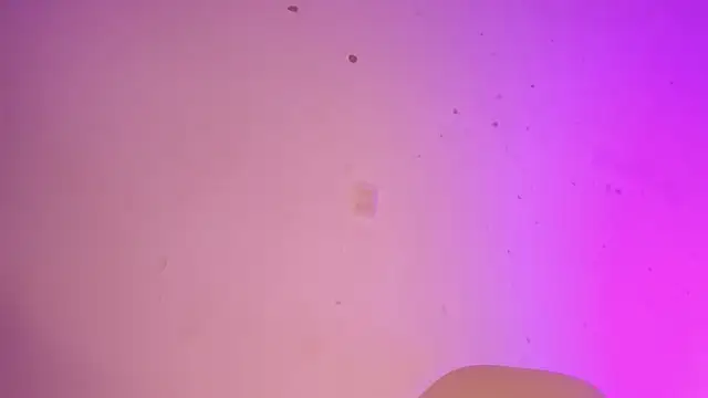 Tahira 21  online show from January 2025 10:37:01 PM