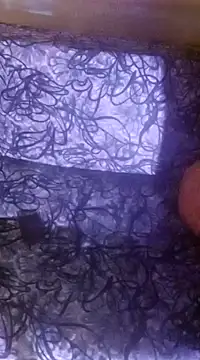 shuhana  online show from December 2024 01:10:01 AM